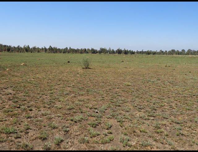 115,300M² VACANT LAND FOR SALE IN DE DEUR